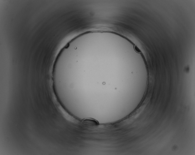 X0000101151485200807181322