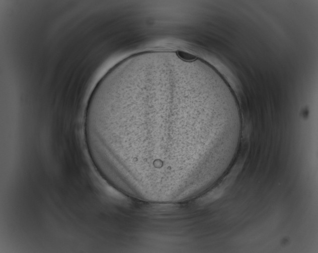 X0000101151486200807181322