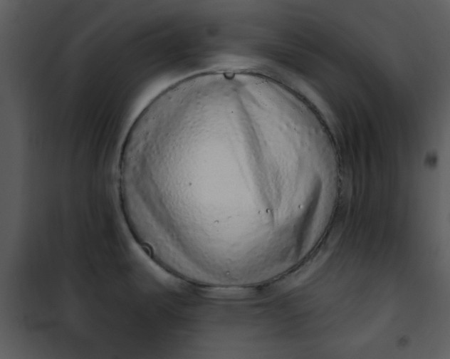 X0000101151487200807181322