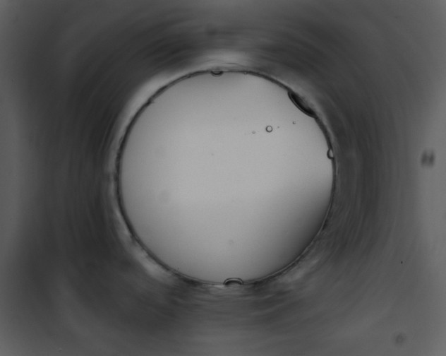 X0000101151488200807181322