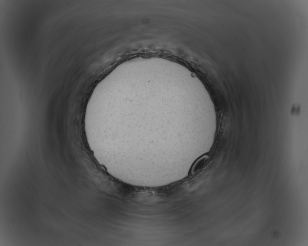 X0000101151489200807181321