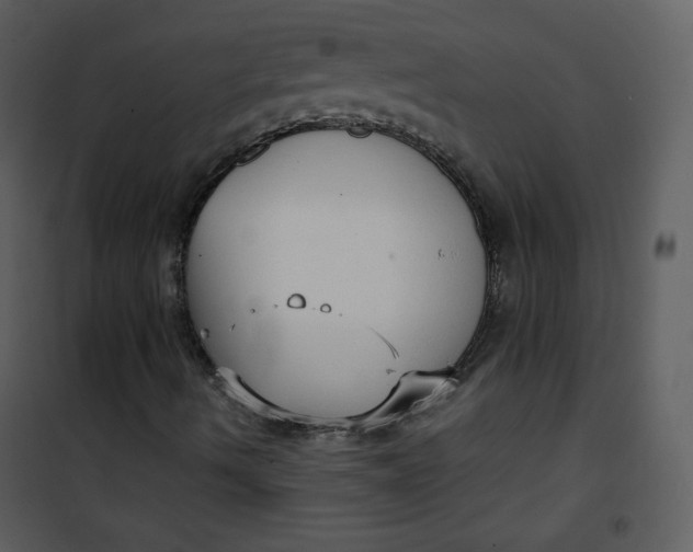 X0000101151490200807181321