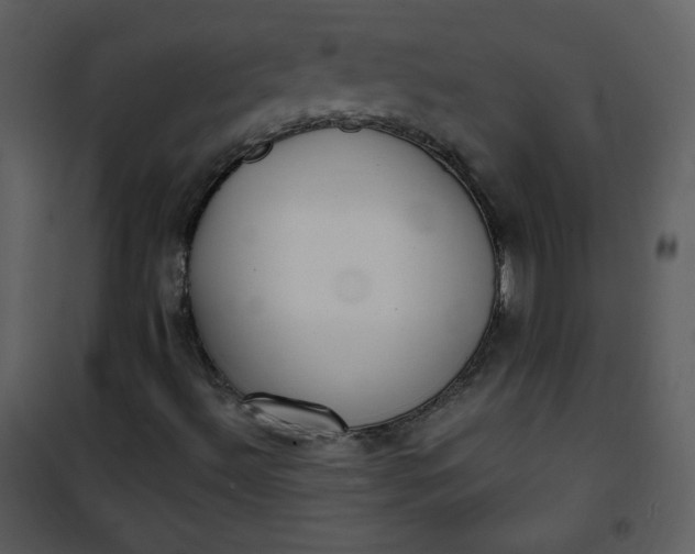 X0000101151492200807181321