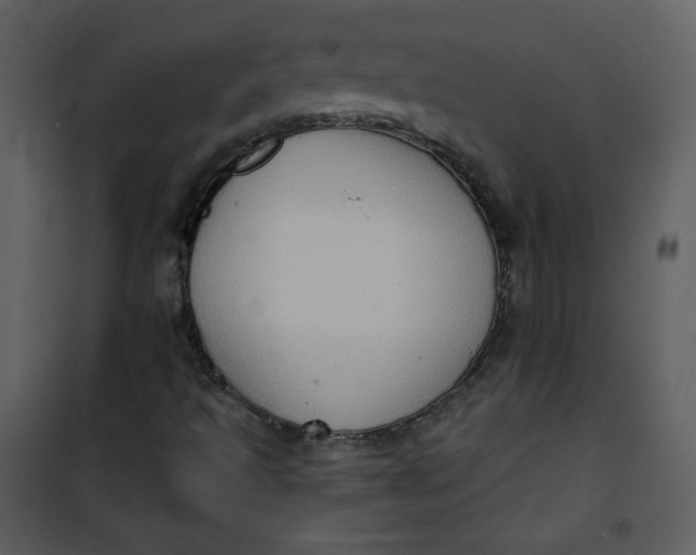 X0000101151493200807181321