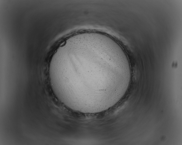 X0000101151494200807181321