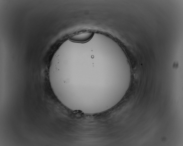 X0000101151495200807181321