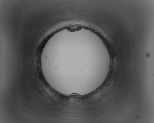 X0000101151496200807181321