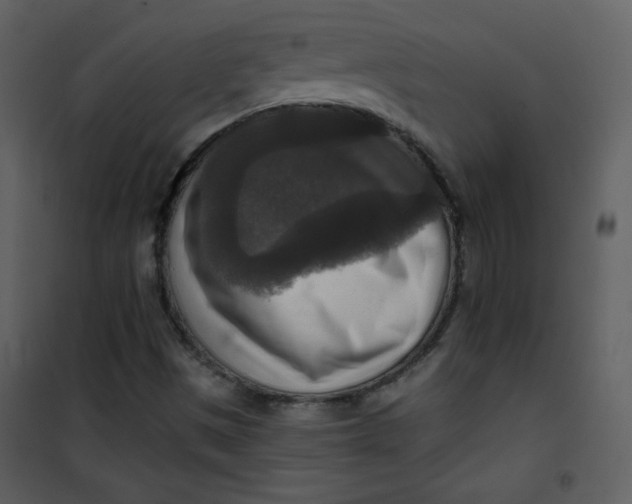 X0000101151497200807181321