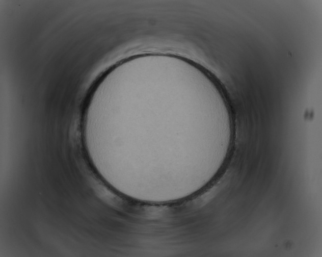 X0000101151498200807181321