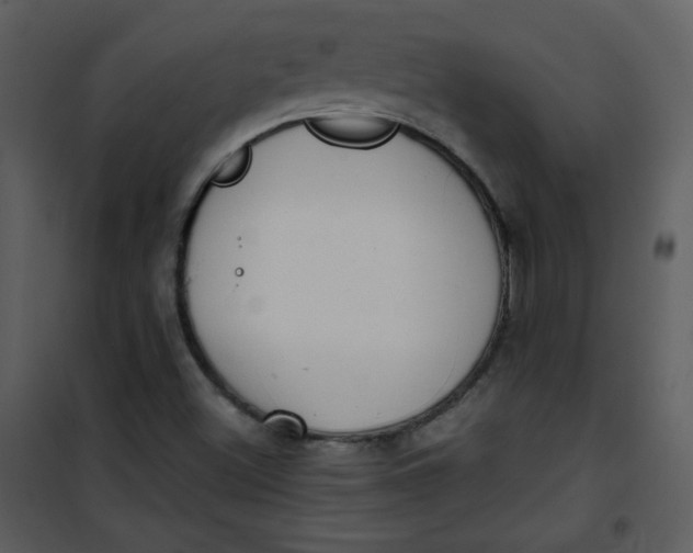 X0000101151500200807181321