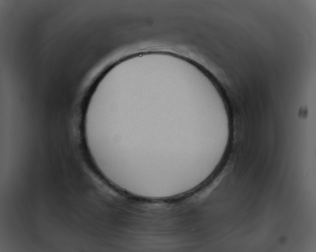 X0000101151502200807181321