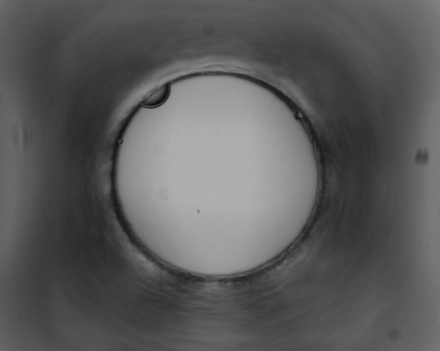 X0000101151504200807181321