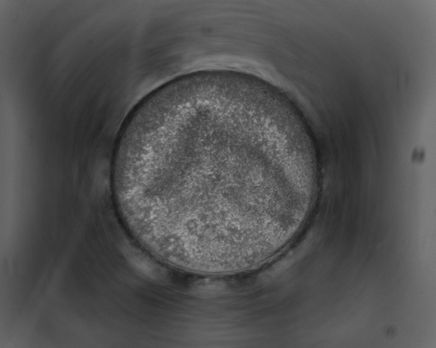 X0000101151505200807181321