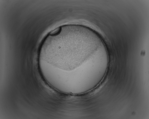 X0000101151506200807181321