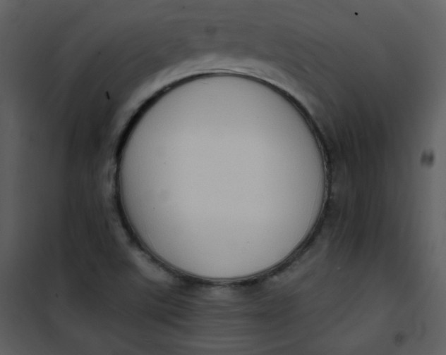 X0000101151507200807181321