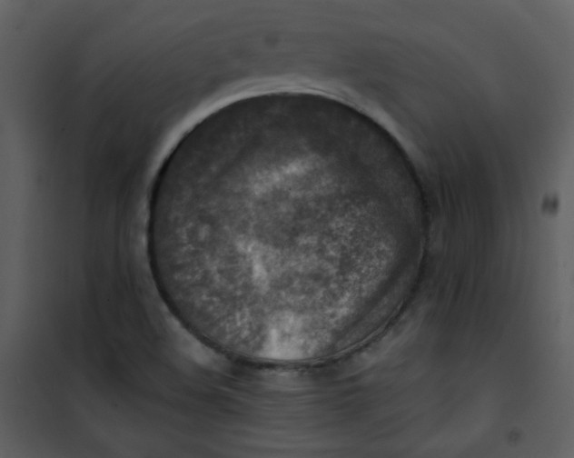 X0000101151508200807181321