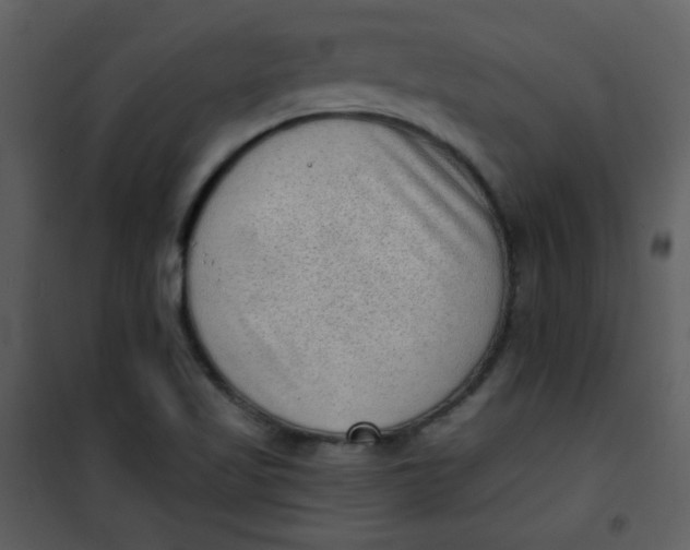 X0000101151509200807181321