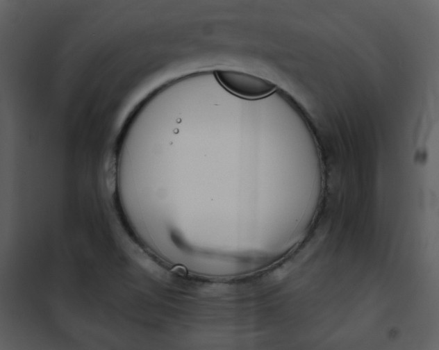 X0000101151510200807181321