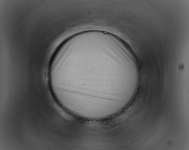 X0000101151511200807181321