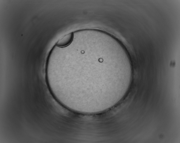 X0000101151512200807181321