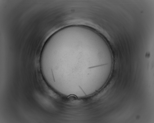 X0000101151513200807181321