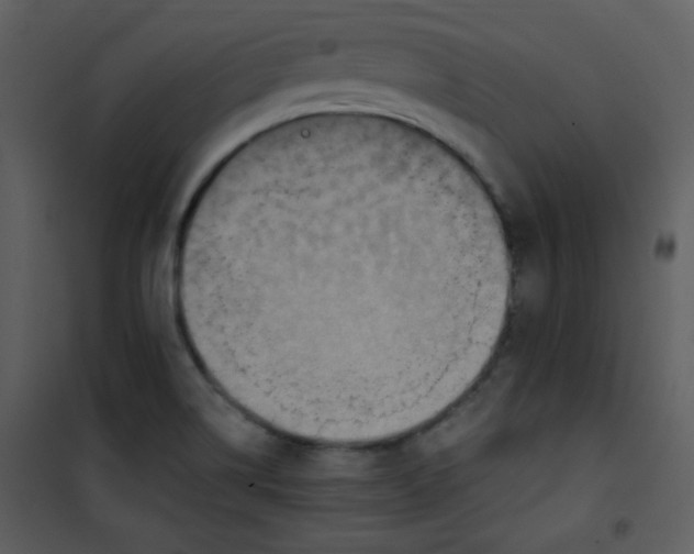 X0000101151514200807181321