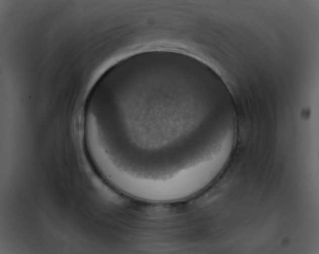 X0000101151515200807181321