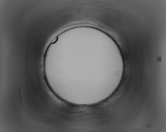 X0000101151516200807181321