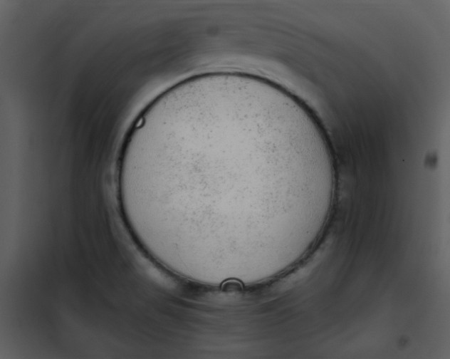 X0000101151517200807181321