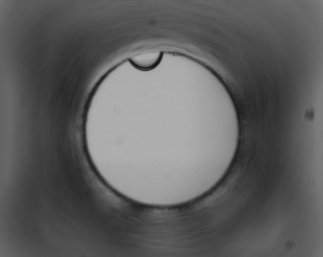 X0000101151518200807181321