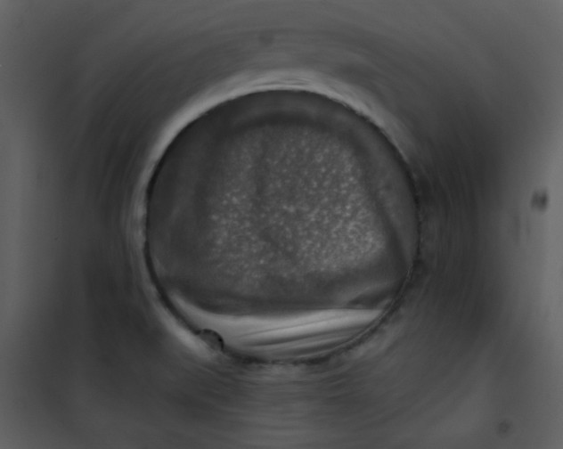 X0000101151519200807181321