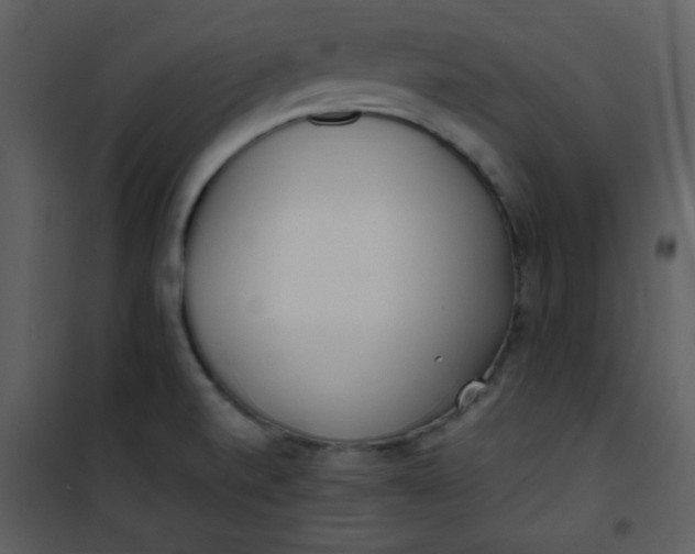 X0000101151520200807181321