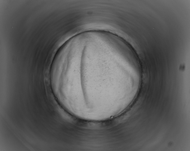 X0000101151521200807181321