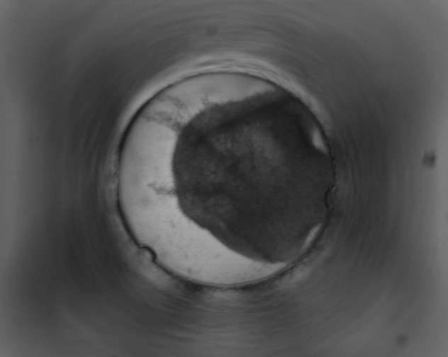 X0000101151522200807181321