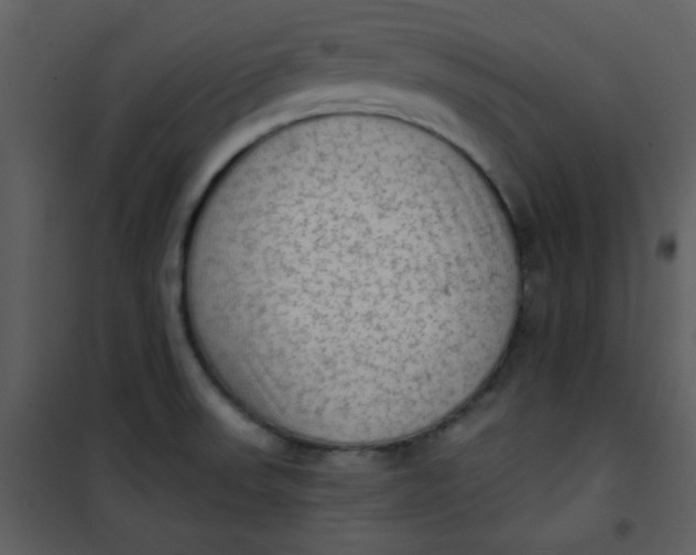 X0000101151523200807181321