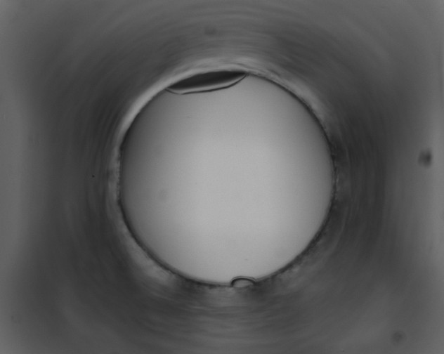 X0000101151524200807181321