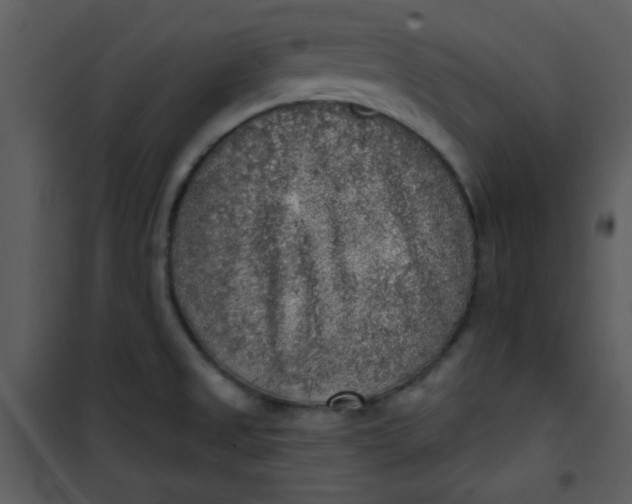 X0000101151525200807181321