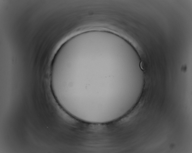 X0000101151526200807181321