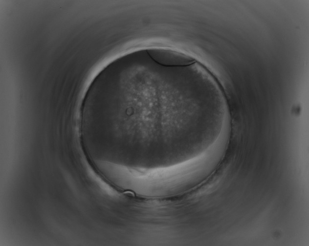 X0000101151527200807181321