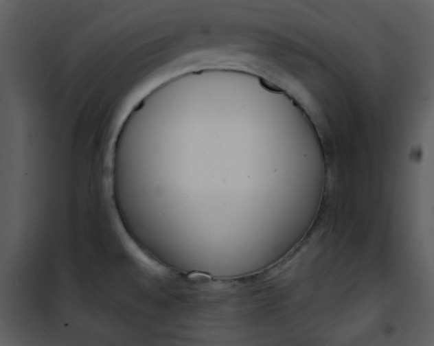 X0000101151528200807181322