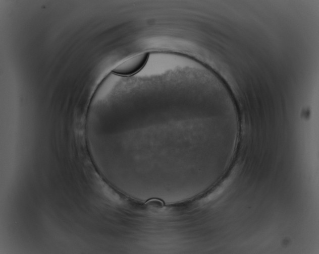 X0000101151529200807181322