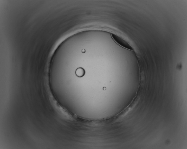 X0000101151530200807181322