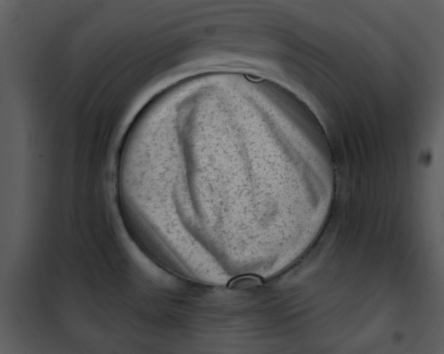 X0000101151531200807181322