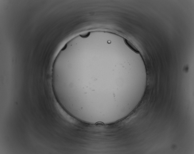 X0000101151532200807181322