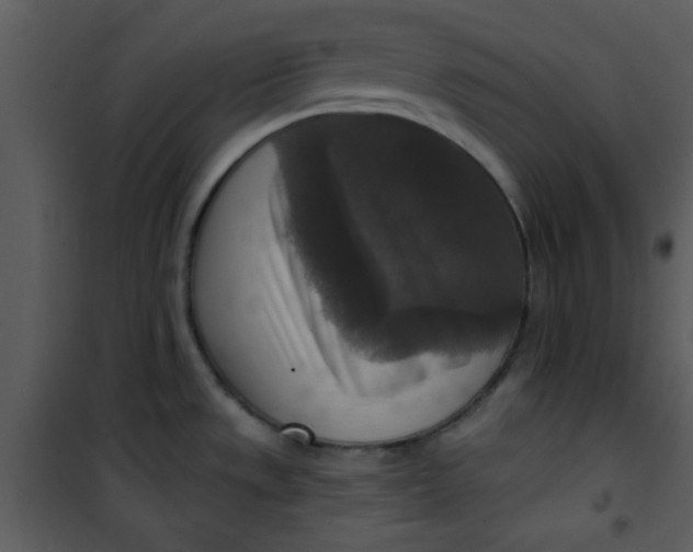 X0000101151533200807181322