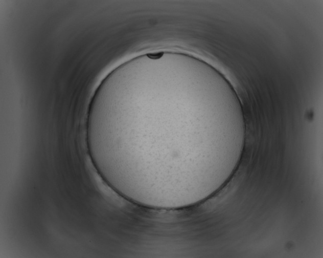 X0000101151534200807181322