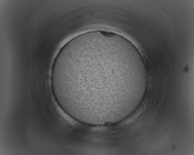 X0000101151535200807181322