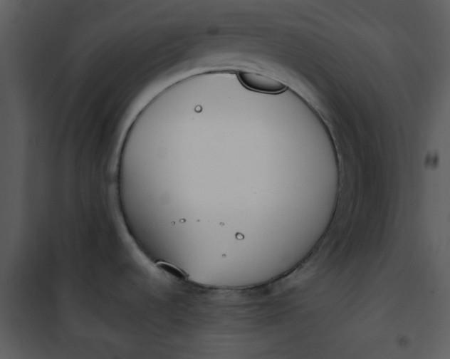 X0000101151536200807181322