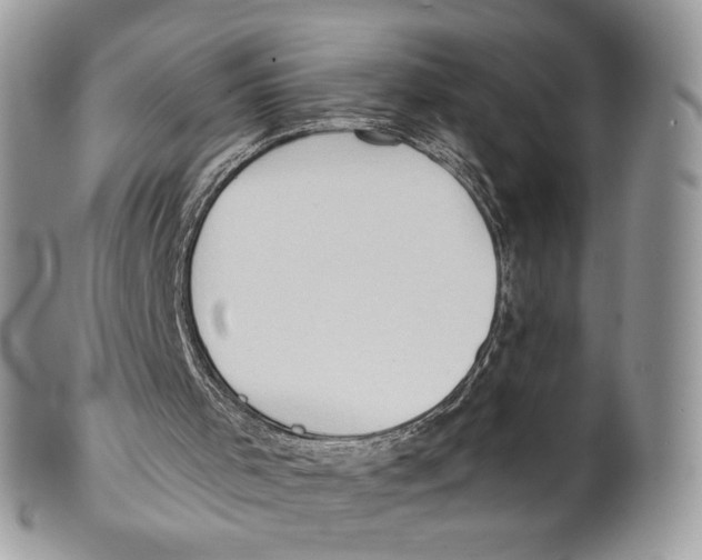 X0000101150001200807251058