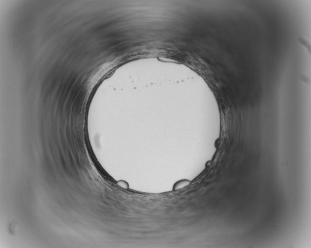 X0000101150003200807251058